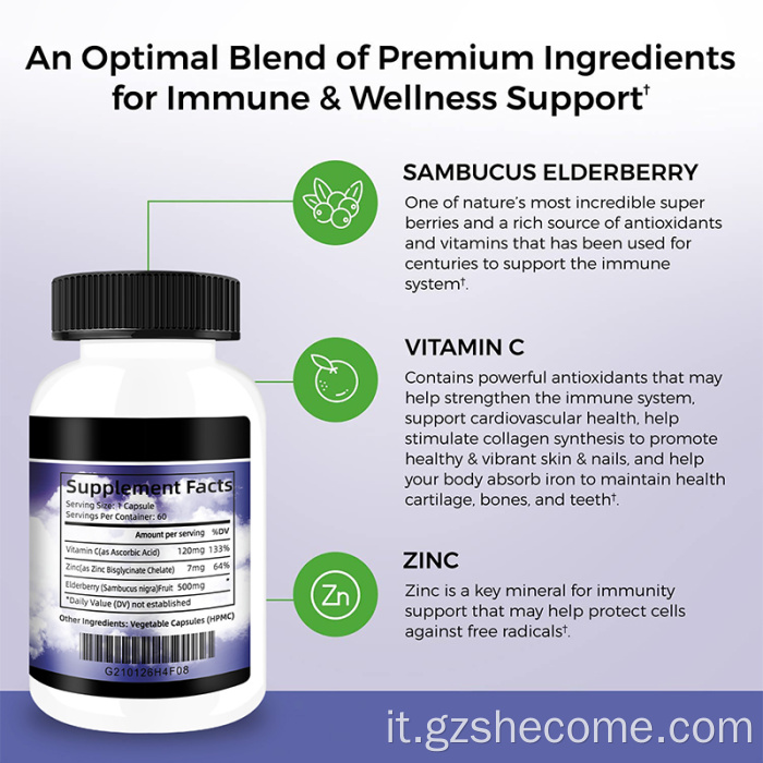 Vitamine per anziani adulti Capsule di sambucus nere